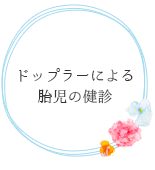 エコーによる胎児の検診